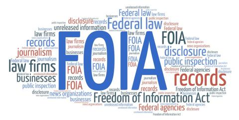 A word collase made out of descriptive words relevant to the freedom of information act.
